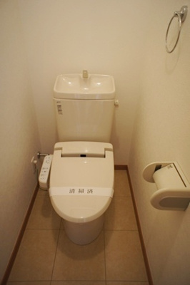  | プラチナメープル