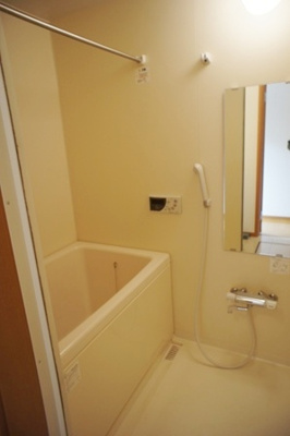  | プラチナメープル