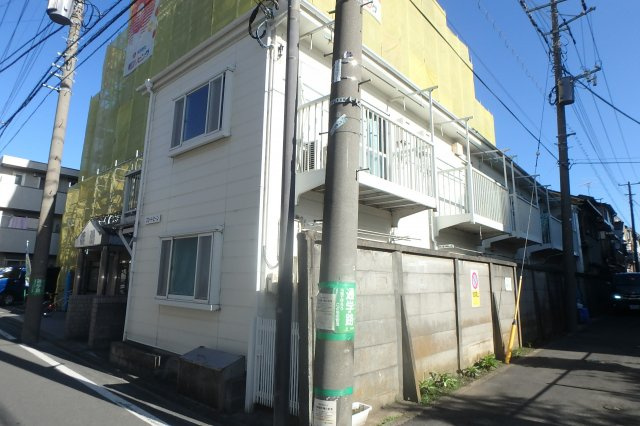 ブロードビーン