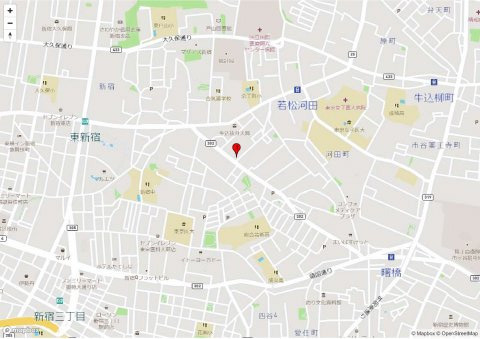 枝ビルの地図