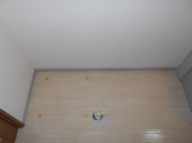 レスパスノンシャランのその他