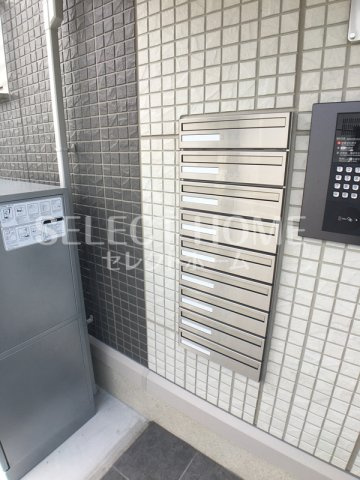 | プリメーロ山七