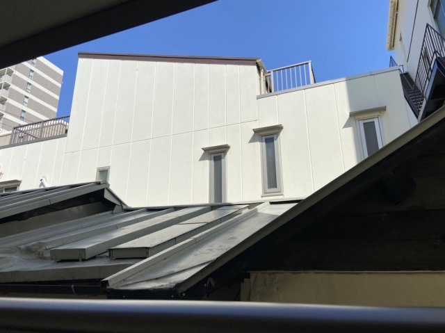 ドリーム フジ 桜川の展望