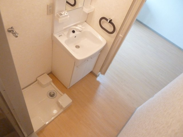アネックス仲村の洗面所