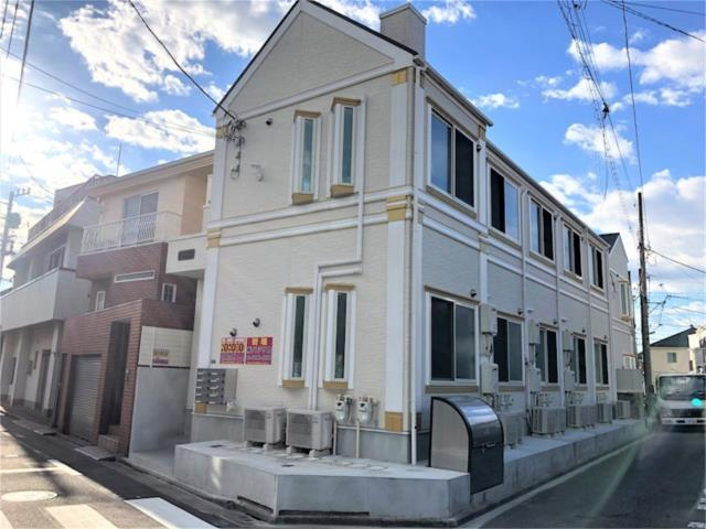 ソフィアオリーブの画像