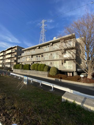 【外観】 | ロイヤルパレス二子玉川 | 多摩川に面したマンションでわんちゃんも大喜びしそうな環境です。
また、多摩川の花火大会もバルコニーから間近で鑑賞できます。
