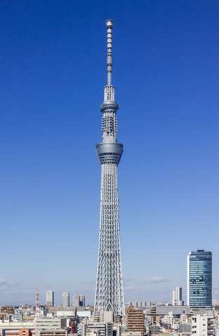 エステムプラザとうきょうスカイツリー駅の周辺|東京スカイツリー至近
