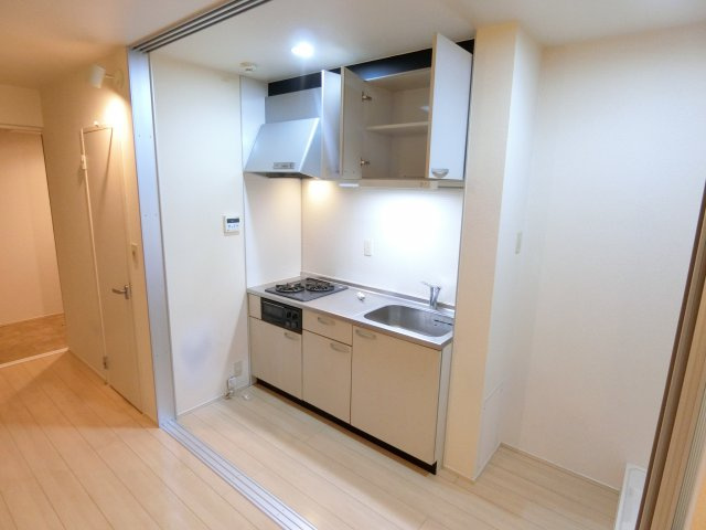 クリプトメリアのキッチン