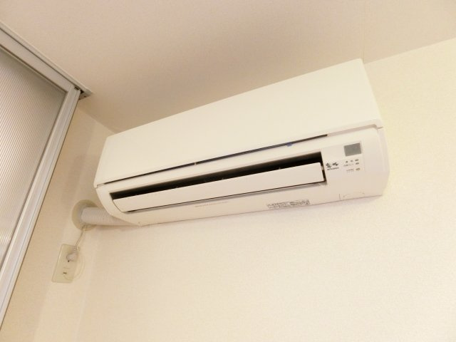 クリプトメリアの内装