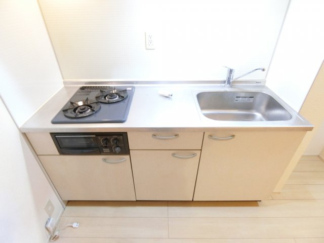 クリプトメリアのキッチン