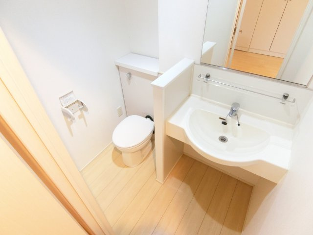 クリプトメリアの洗面所