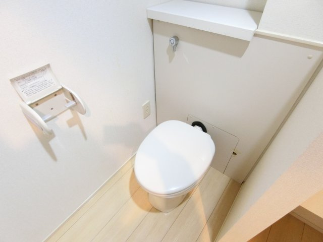 クリプトメリアのトイレ