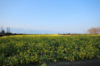  | 琵琶湖アーバンリゾートⅠ番館
