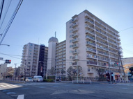 【価格改定】宇喜田カメリアの画像