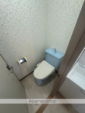  | 21コスモス丸山