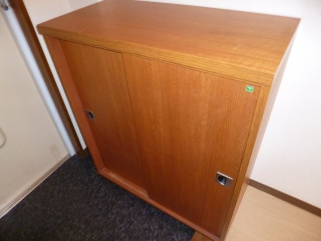 グリーンパレスⅠの内装|シューズボックス