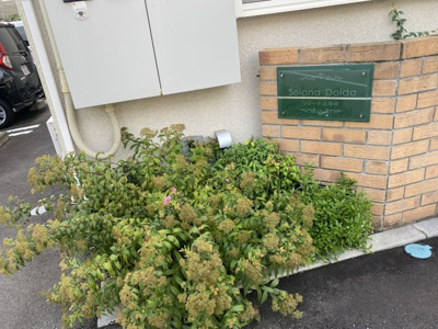 【庭】 | ソラーナ土居田