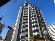 キューティー冷泉の画像