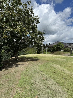 【外観】 | 清和市場売地