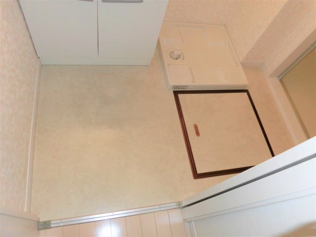 岡田826の洗面所