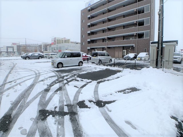 スカイヴィレッジ盛南Ⅱ の駐車場