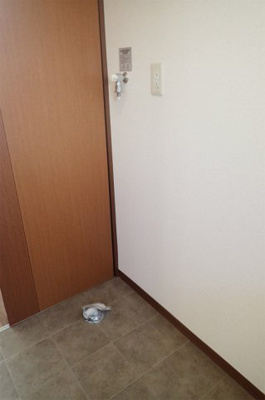 【展望】 | カーザフォルトゥーナB棟【SHM】 | 洗面所内、シャンプードレッサー横にある室内洗濯機置き場です♪室内に置けるので洗濯機が傷みにくい☆