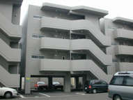 フォレスト辻野の画像
