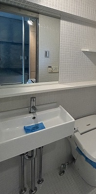ドゥーエ新丸子の洗面所