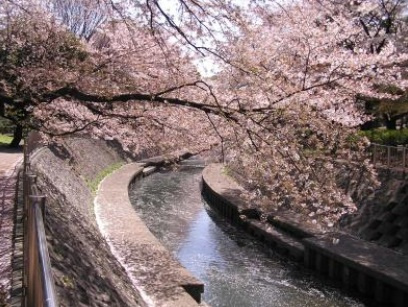 ヴィクトリーハイツの周辺|和田堀公園