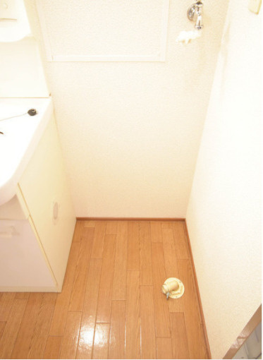 ラ・テール参番館の洗面所|ゆったりとスペースのある洗面所