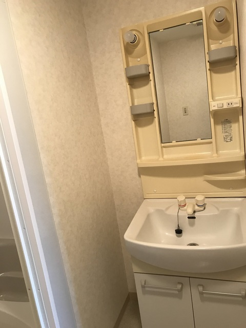 エルドメーヌ志村の洗面所