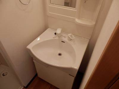 フラッティ梅小路の洗面所|シャンプードレッサー