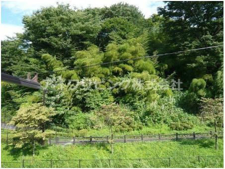 ニュータウンハウスの展望|【ニュータウンハウス】