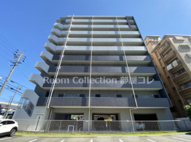 エスフィオーレの画像