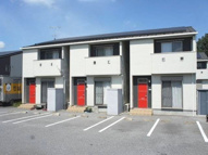 コスモスⅡの画像