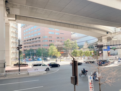 【展望】 | ソリッド大橋