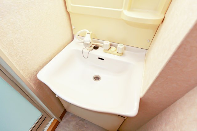 サヴォイ　ザ・リバーテラス　6階の独立洗面台|別号室の写真です。現状優先