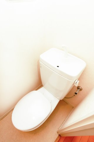 サヴォイ　ザ・リバーテラス　6階のトイレ|別号室の写真です。現状優先