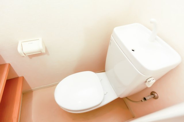 サヴォイ　ザ・リバーテラス　6階のトイレ|別号室の写真です。現状優先