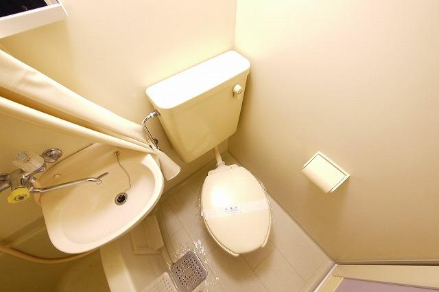 シャトー・ドゥ・クリヨンのトイレ|トイレも気になるポイント