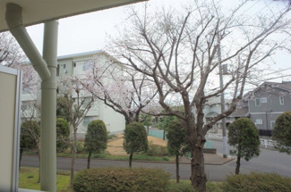 【展望】