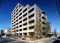 コスモリード西馬込　(アローネ大森)の画像