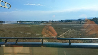 【周辺】 | 田園風景が広がる静かな地域です。