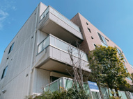 CasaCuriosoの画像