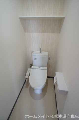 熊本市南区田井島１丁目の賃貸マンションのトイレ