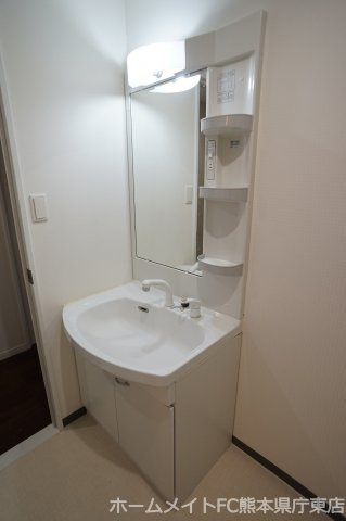 熊本市南区田井島１丁目の賃貸マンションの独立洗面台