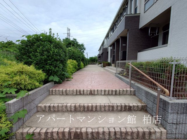 ルピーノのその他