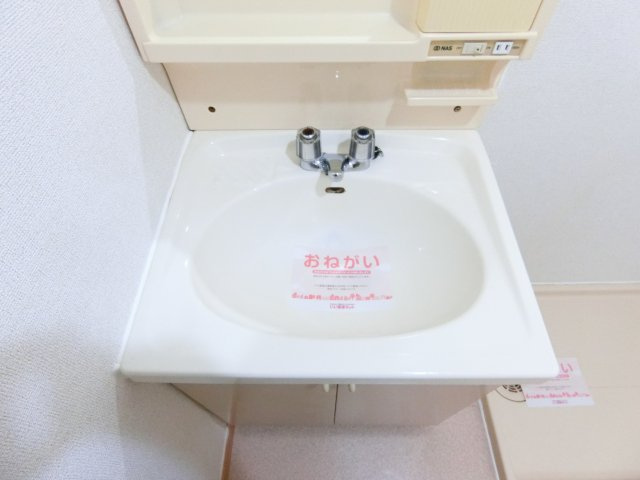 ソルジェンテ金剛の洗面所