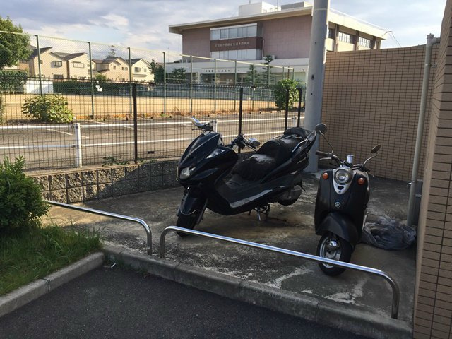 ファシルカワトのその他
