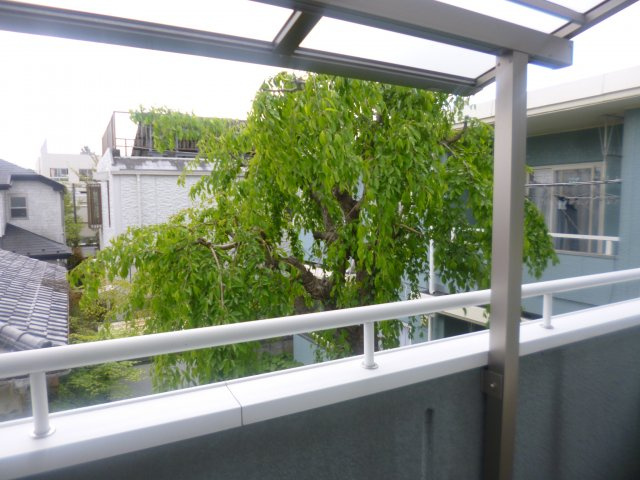 パストラルハイムの展望